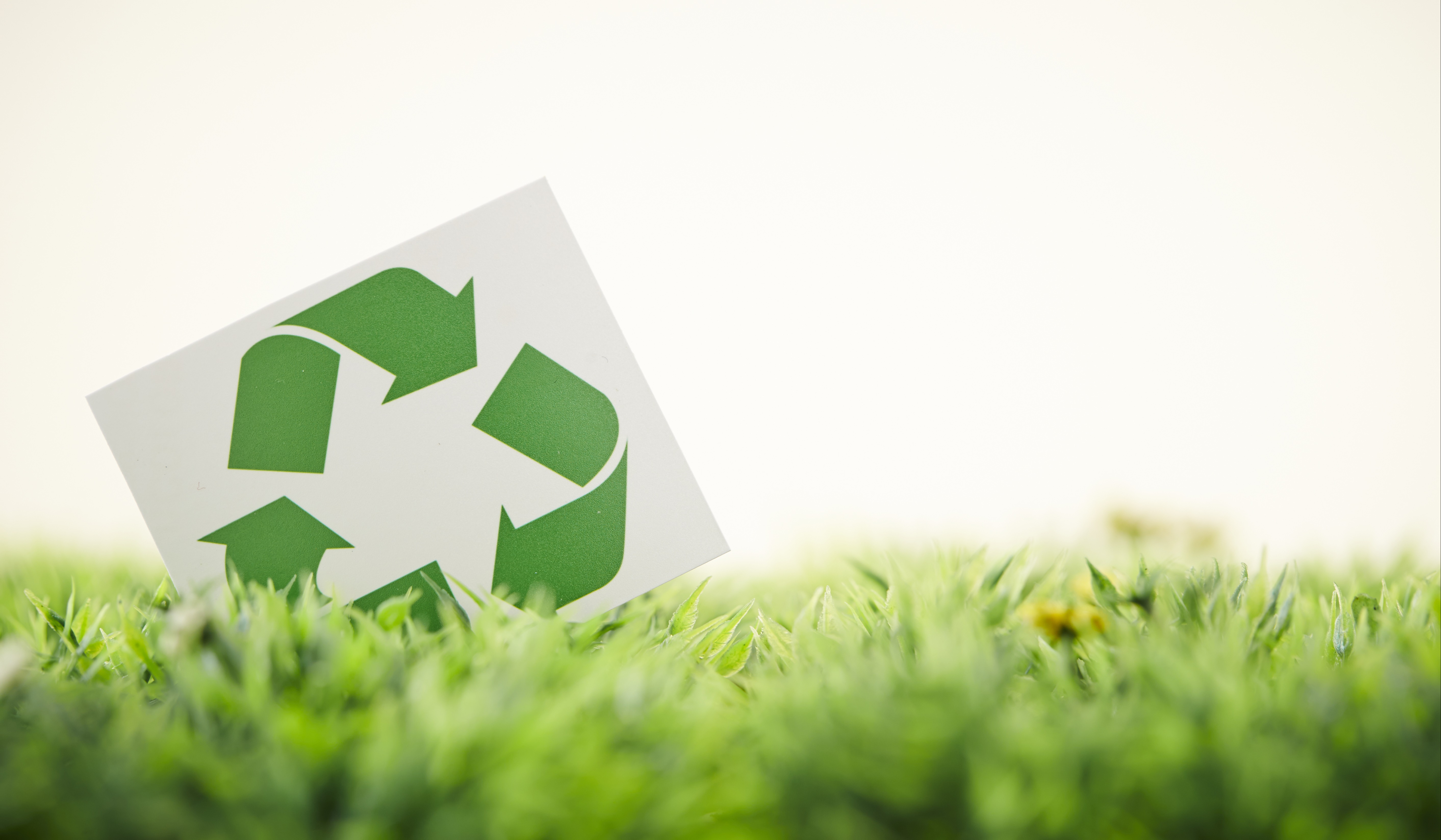AdobeStock_66607226-1 AdobeStock_66607226-1
